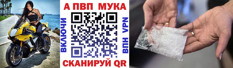 A PVP крисы CK Шагонар
