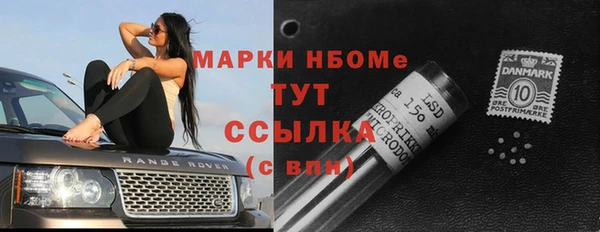 экстази Бородино