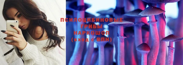 экстази Бородино