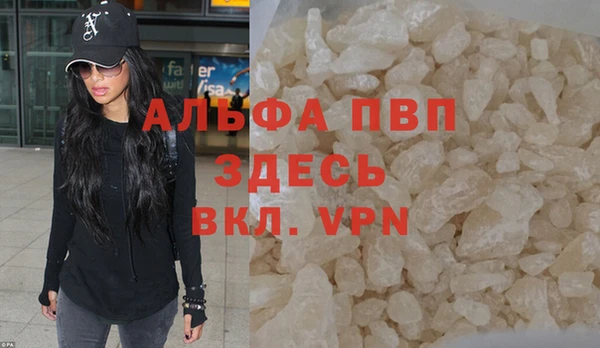 экстази Бородино
