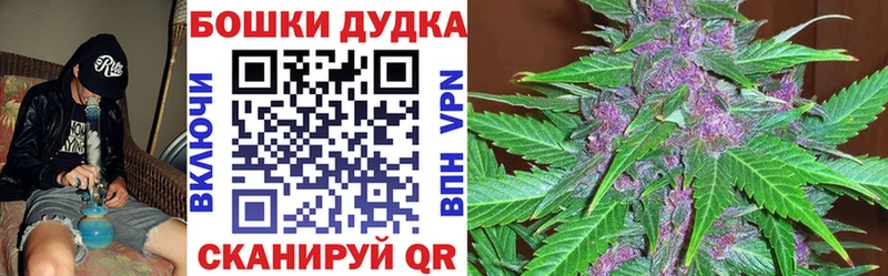 Бошки марихуана индика  Шагонар 